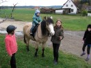 Reiten ist besonders bei den Kleinsten sehr beliebt