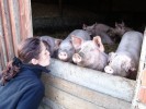 Der Schweinekuss! Vielleicht ist hier ein Prinz dabei?